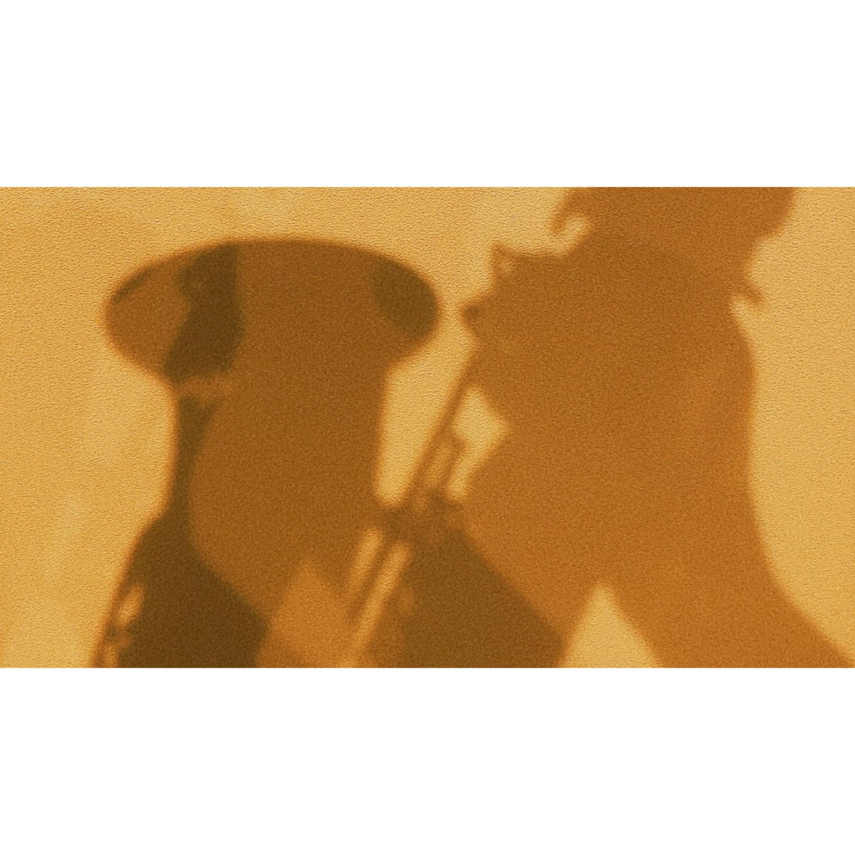 fururuinfo's tweet photo. 🎷サックスお持ちの方、一緒に音楽を楽しみませんか？
10/31（土）はないろハロウィンパーティーに参加できる方をゆるく募集しています🎃🎶
コンサートではなく、楽器を持ち寄って気軽に楽しむイベントです☺️

※演奏依頼ではありません／出演料・投げ銭なし／参加費あり

気になる方はDMください✉️✨ https://t.co/ArUzBLDnjg