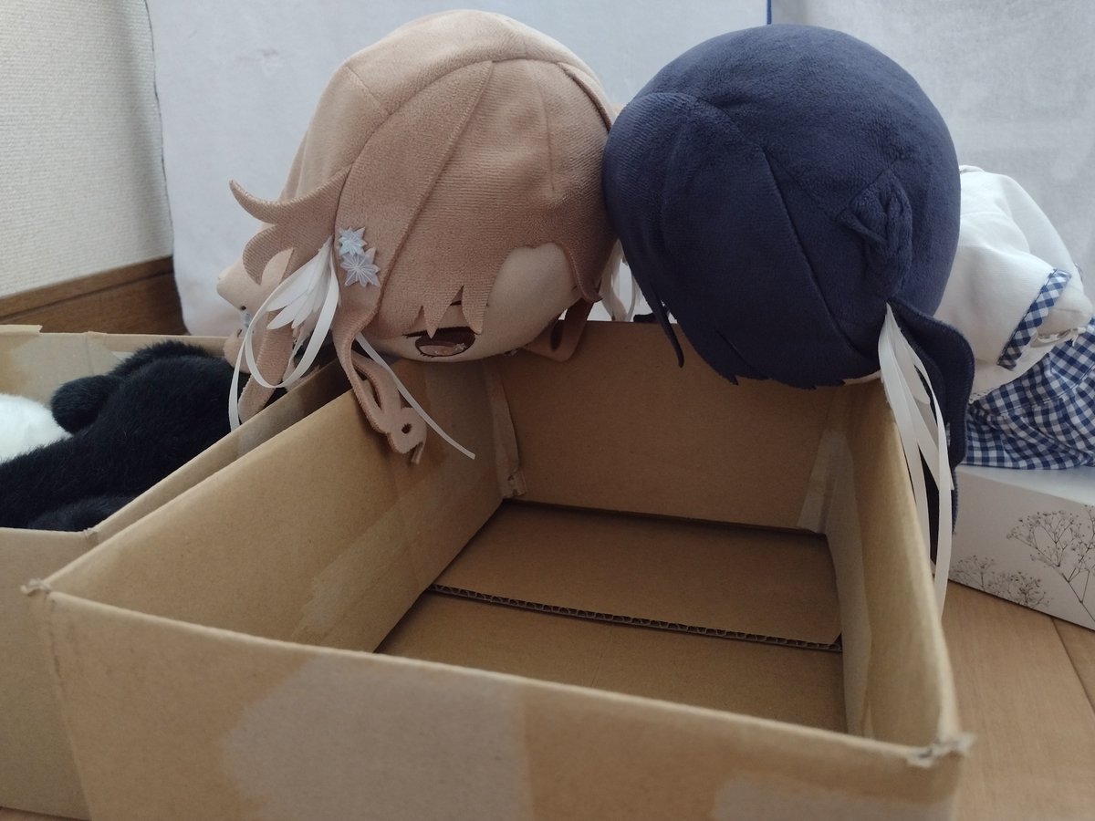 tk_sprt09's tweet photo. もちほわのある日の風景８７ https://t.co/vNUJvKd4f4