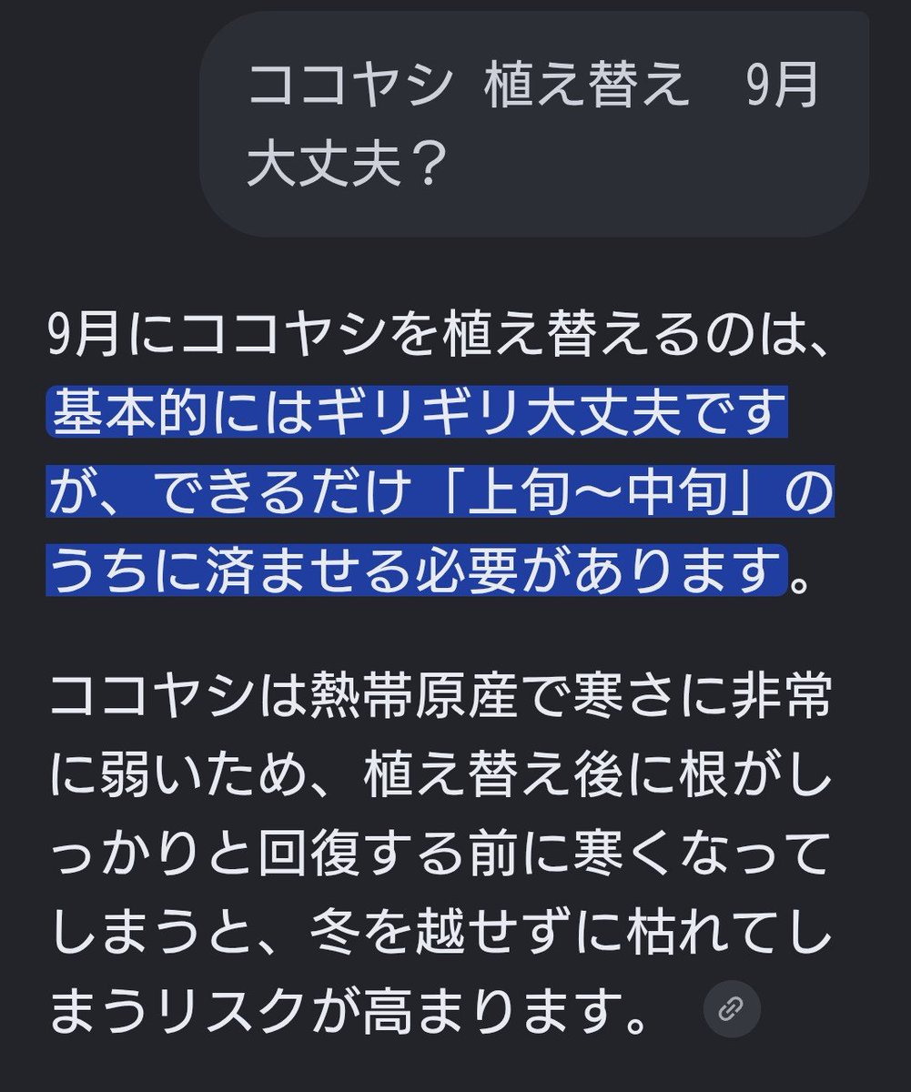 rainWaechter's tweet photo. ココヤシ君
 鉢Size UP https://t.co/gn7CwZQ199