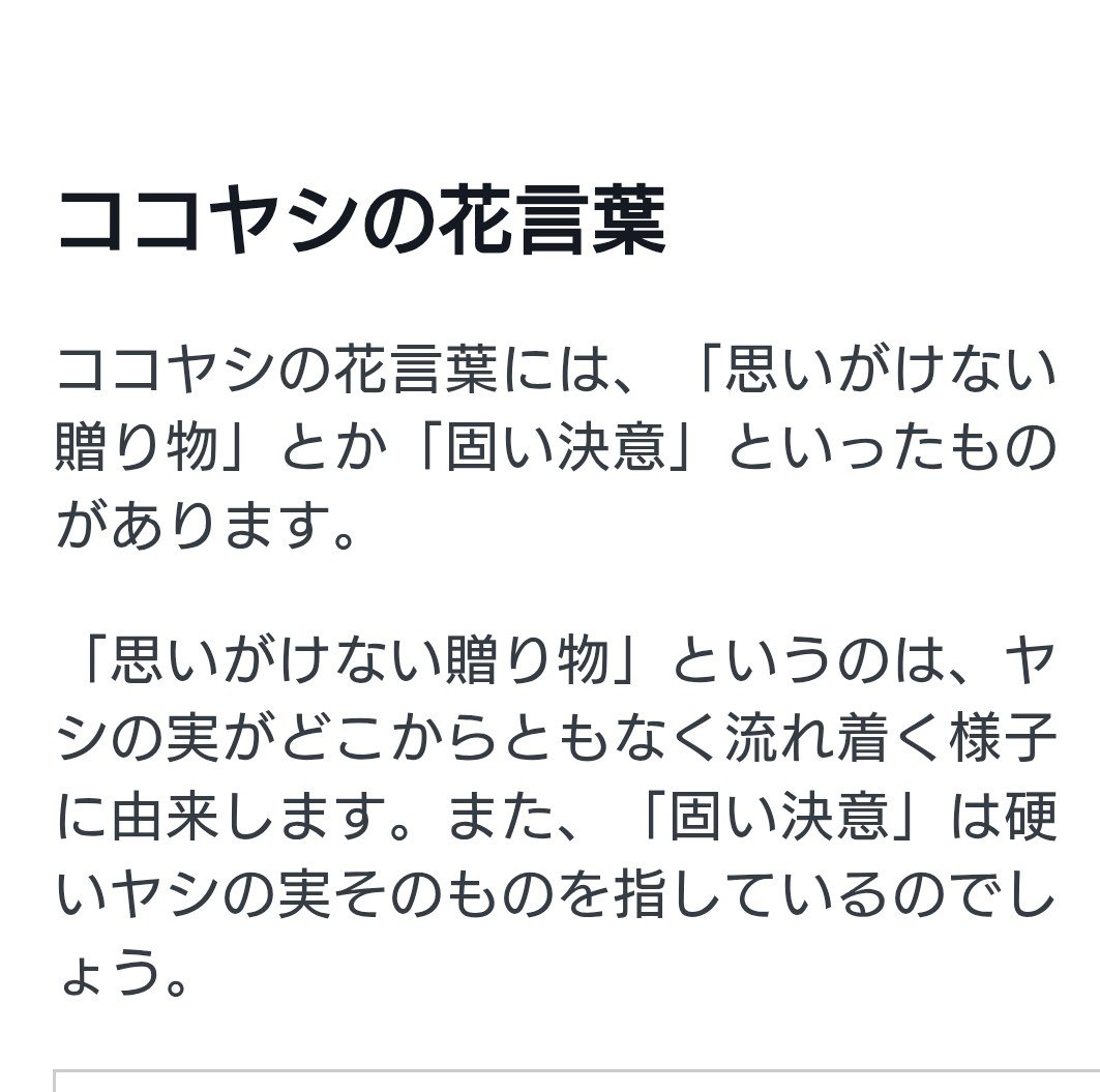 rainWaechter's tweet photo. ココヤシ君
 鉢Size UP https://t.co/gn7CwZQ199