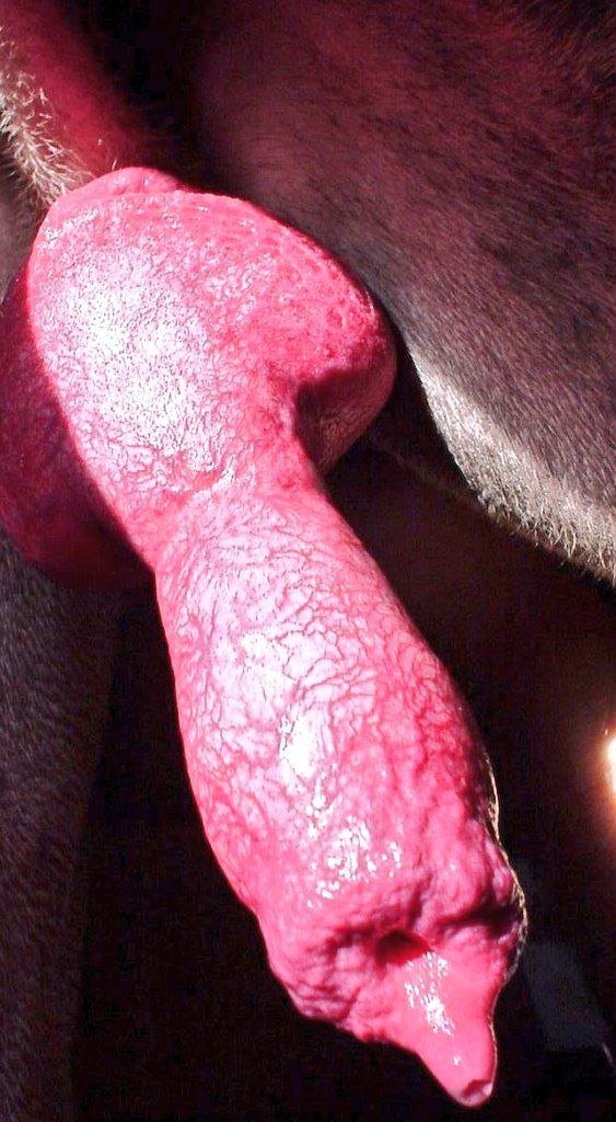kinkslutekg7 tweet picture