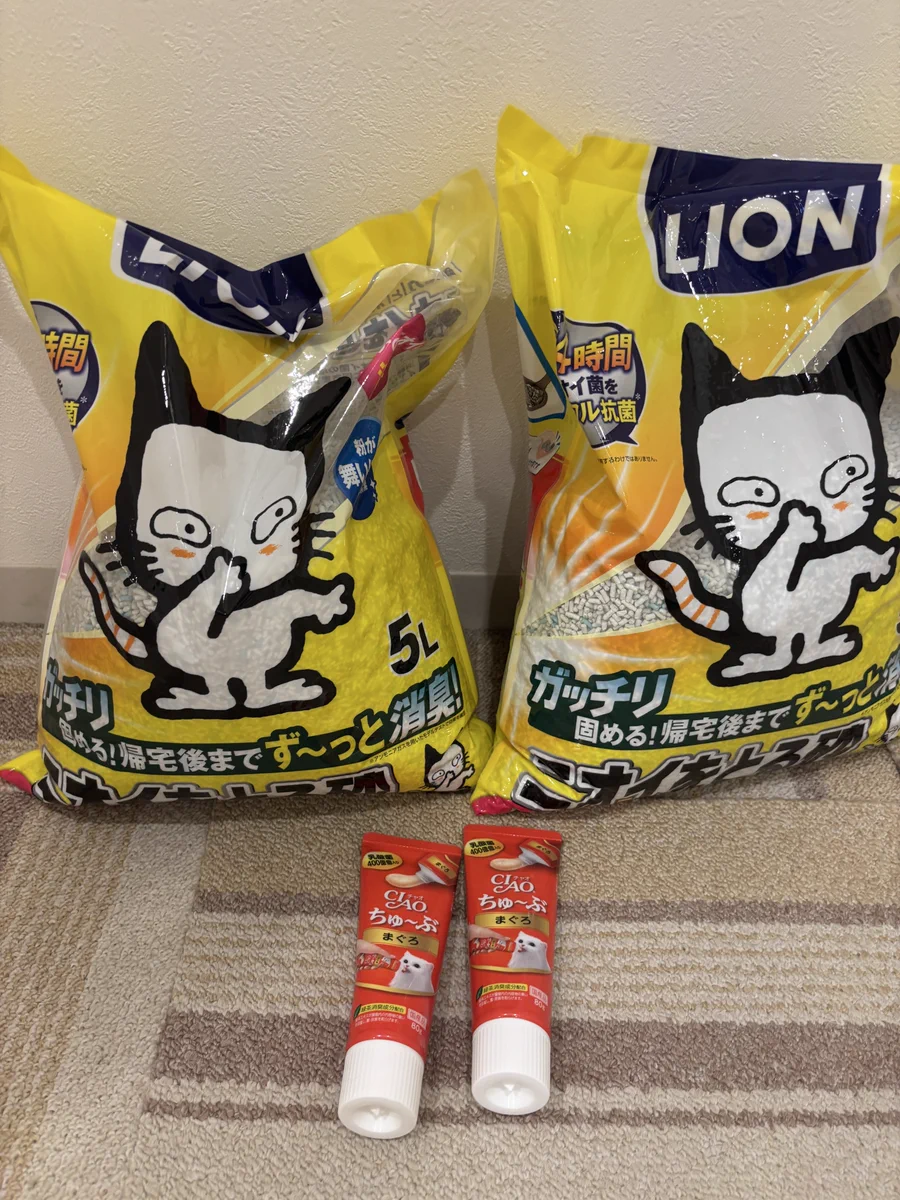 関東3店】譲渡型猫カフェ にゃんくる on X: 