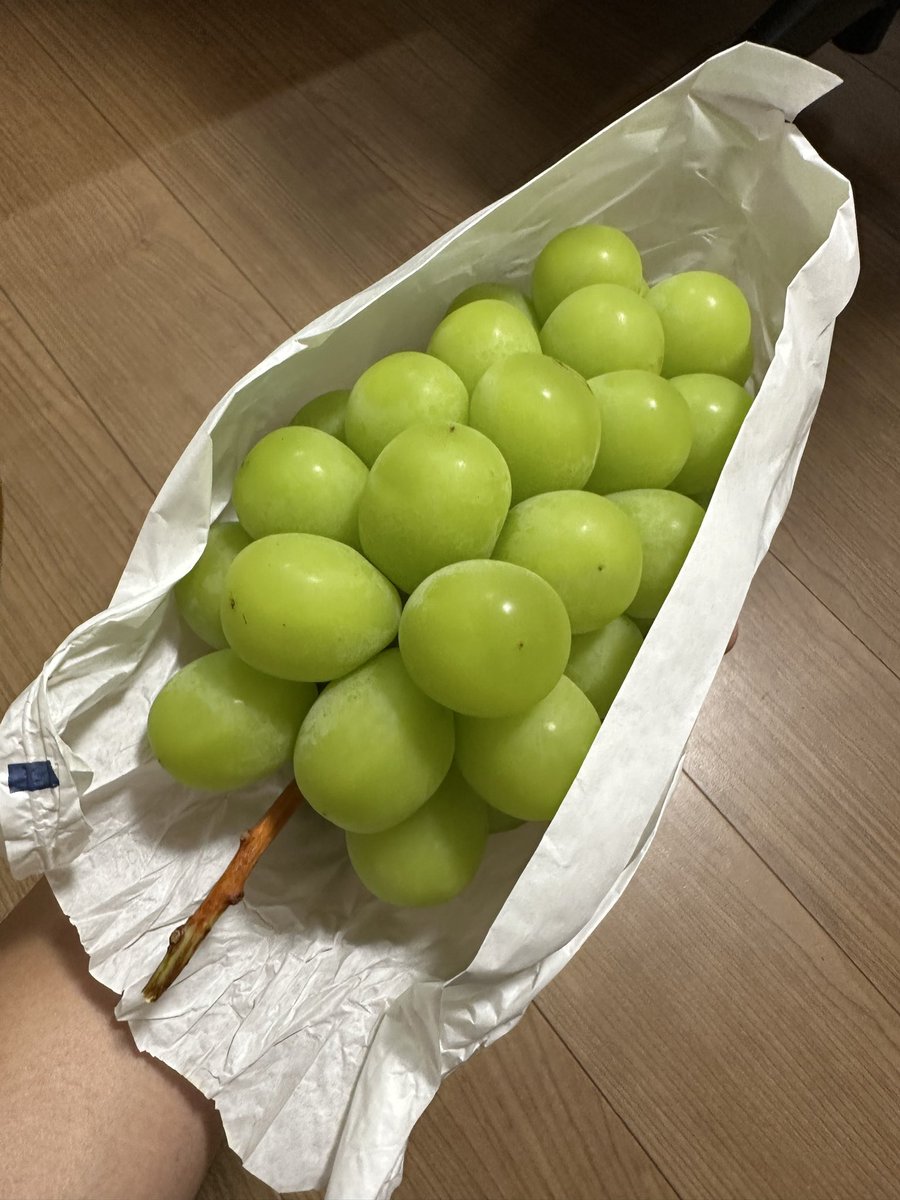 8005ATI's tweet photo. シャインマスカット🤤

粒がデカい😮 https://t.co/NFfLLl0lhT