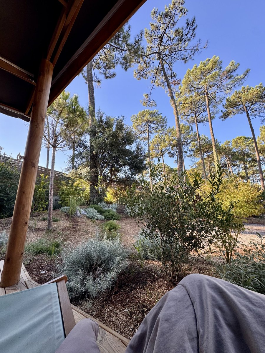 SebastienEgo's tweet photo. Today I’m hitting 100 followers 🎉

My journey on X started because I was trying to not feel alone and isolated anymore or like some alien with my overflowing passion for AI.

Very quickly, I realized there was a HUGE and UNLIKELY community around this love for LLMs, agents and this stargate that’s changing our daily lives ✨

I found guys just getting started, experts installing agents in companies, guys obsessed with AI news, guys changing their lives with this new launchpad toward infinity . I saw marclou, fucking OGs like levelio, unstoppable people, life fighters, dreamers 👀 Founders, builders, passionate people in so many fields I didn’t even know existed!

All of this gave me hope again for a better future. A few months ago I left everything because of burnout, I was managing 40 restaurants for a company listed on the stock market. I was just an ant, an employee number they squeezed until there was nothing left. Those bastards broke me. I ended up in a fucking depression 😣

X quickly shadowbanned me, which motivated me to understand why and how. I built myself an agent to track my ban, then I thought what would good old Marc do with this? A SaaS obviously and shadowbanradar was born!! Thanks Marc for showing me the way 🤝

I think Shadowban is just the beginning. I couldn’t sell this agent, so I installed posthog and spent hours and hours watching user behavior. IT WAS A FUCKING REVELATION. I loved it so much. I worked on the pain, the funnel, I helped guys for free in DMs just to keep believing in it and talking with people.

Then I gave myself an ultra small goal: make €1 before the end of the month. I managed to get 18 customers and seriously THANK YOU FROM THE BOTTOM OF MY HEART you remind me that you should never fucking give up.

Now I send DMs to understand with them how to do better. Sometimes I do support just to help the guy whose X account is everything to him, even if he’s not paying anymore. And fuck it feels good.

Today I’m starting to dream about freedom again thanks to X, thanks to you guys 🙏

From the bottom of my heart THANK YOU GUYS ❤️❤️❤️