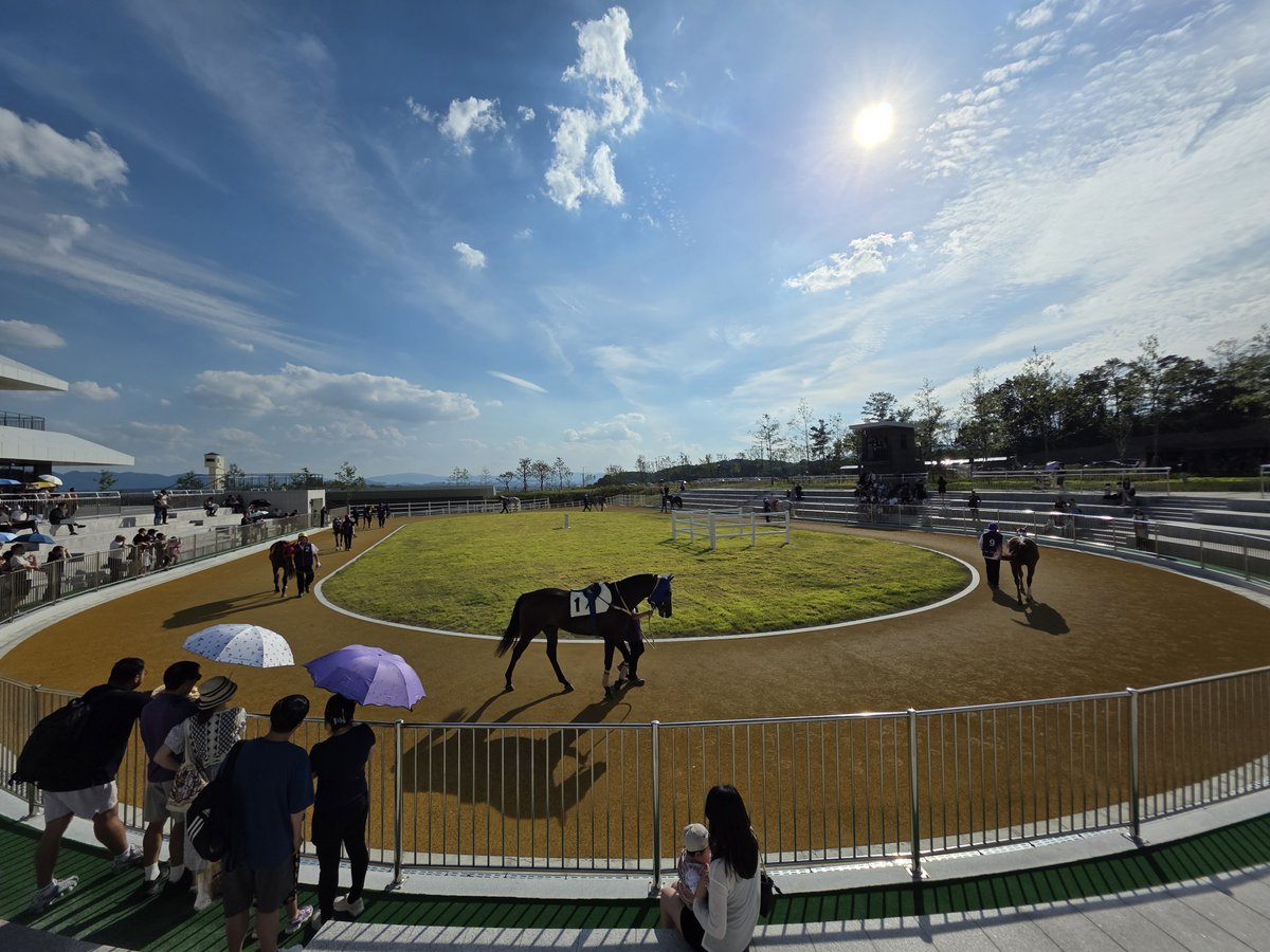 _eLOOJAY's tweet photo. 今日オープンした韓国の永川市(ヨンチョン)競馬場に行った https://t.co/F5xOvoCtOG