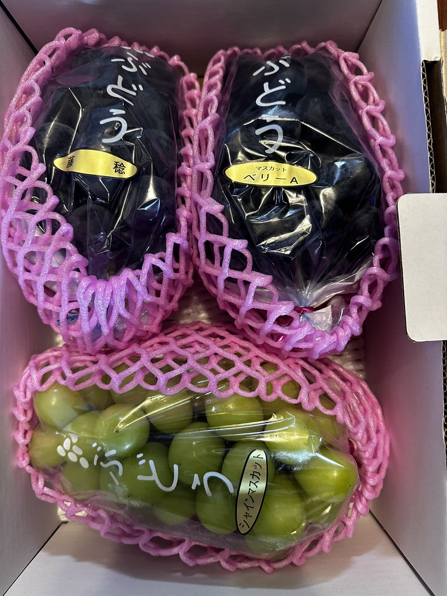 y33a19's tweet photo. ぶどう美味しそう🍇
食べるの楽しみ😆 https://t.co/sv7sYgWUC3