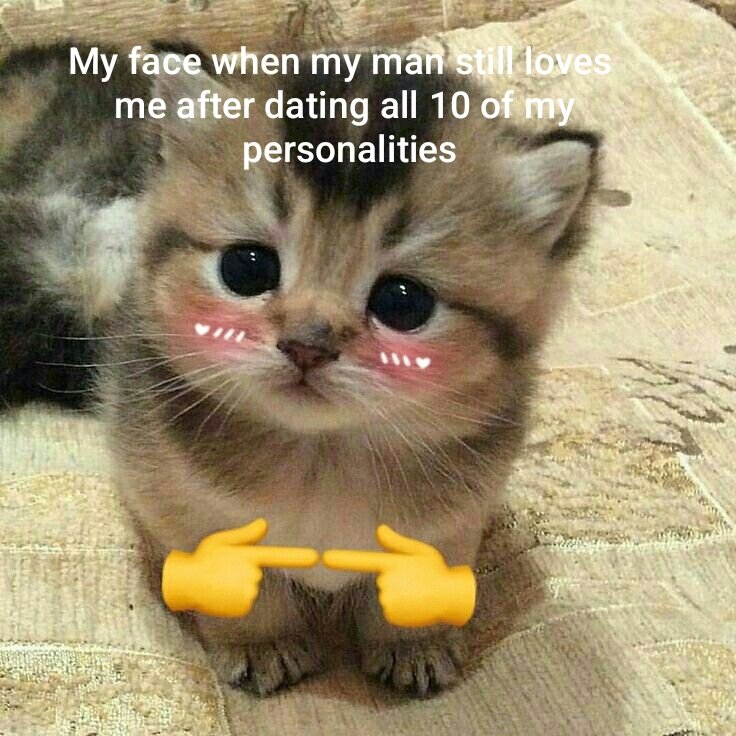 Meowversetwt's tweet photo. https://t.co/RLg83JKCvp