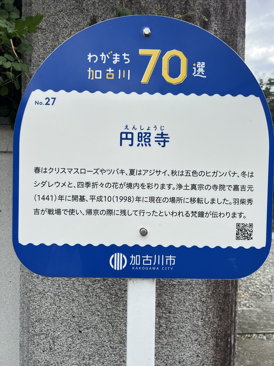 norako776's tweet photo. 私のパワースポット！
#花の寺  #円照寺 さんに行ってきました♪
レアな彼岸花 #ブルーパール を見る事が出来ました🙌
早咲きの品種なので、今日行けて良かった！ギリギリセーフ💦
月末にかけて、多種の彼岸花が咲き乱れて行くので楽しみです♪
綺麗な花を見て、心が洗われました。

#彼岸花 
#青 https://t.co/zPLTtJPfcO