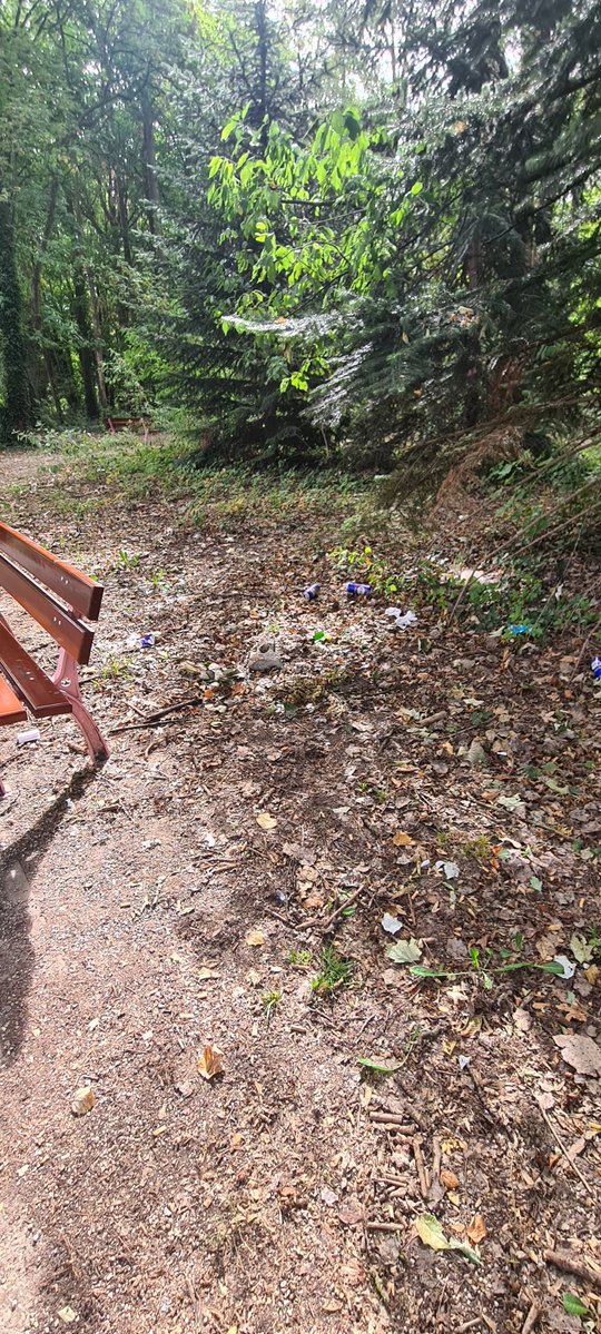 NICOLASHugues2's tweet photo. Il y a un moment vous allez peut-être comprendre l'erreur d'avoir  retiré des poubelles pour y mettre des hub containers 
@villedemassy ton parc Vilmorin devient de plus en plus dégueulasse car tu nas pas vu les merdes qui fréquentes les tables et les bancs.
#villedemassy. https://t.co/R6kUUS71ta