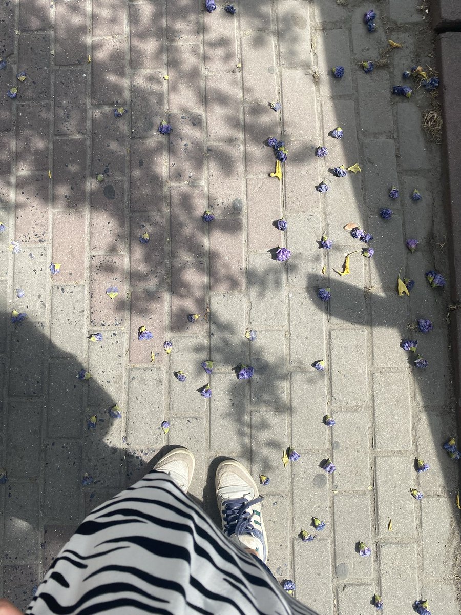 blacklotusbot's tweet photo. Güneş yerinde her şey yolundaa 🌞 https://t.co/eZdS9rq50m