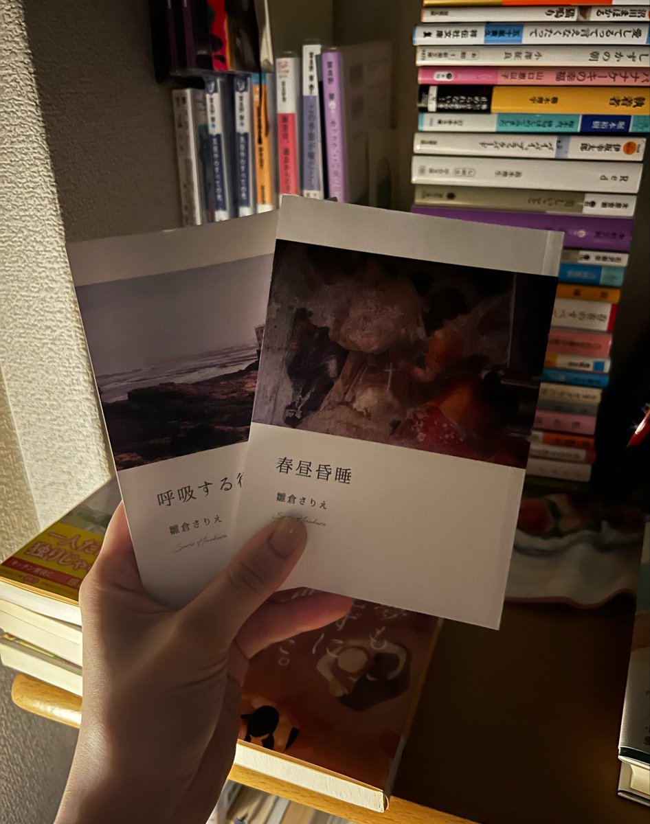 boo___nk's tweet photo. #文学フリマで買った本

雛倉さりえさんの本🫧
早速読んでいるけど、どの短編も世界観が独特で想像力がいる。何度も読んで味わうのにぴったり。 https://t.co/lQyCzB5cO5