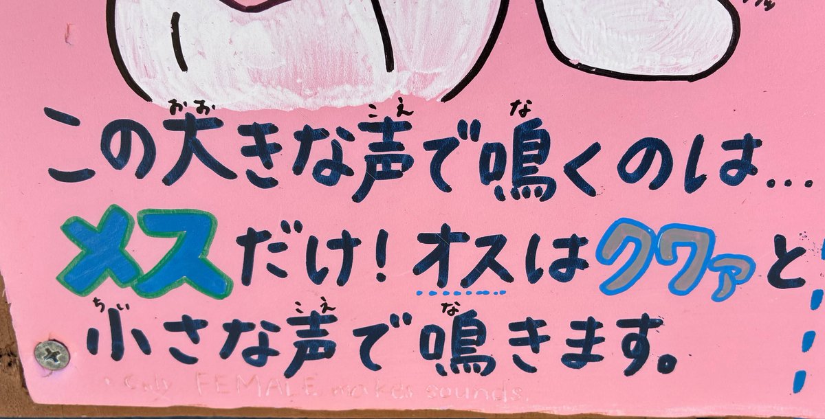 WiePMo25VhDT7zA's tweet photo. なるほど🤔

※音量注意 https://t.co/X6N19yXtMU