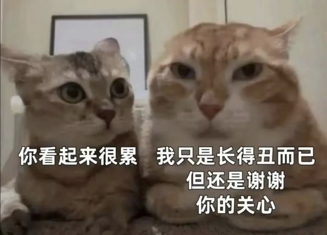 lisianthus2088's tweet photo. https://t.co/DBX1uosCzG