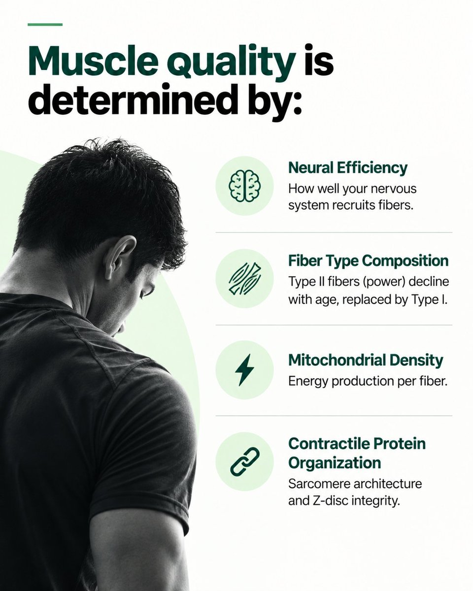 brisk_fit's tweet photo. #musclebuilding #strength #fatloss https://t.co/I6Innhh5ob