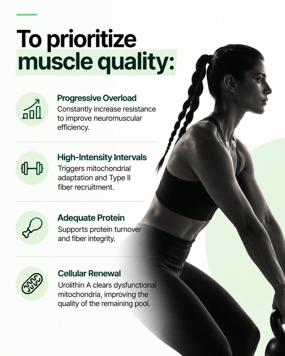 brisk_fit's tweet photo. #musclebuilding #strength #fatloss https://t.co/I6Innhh5ob