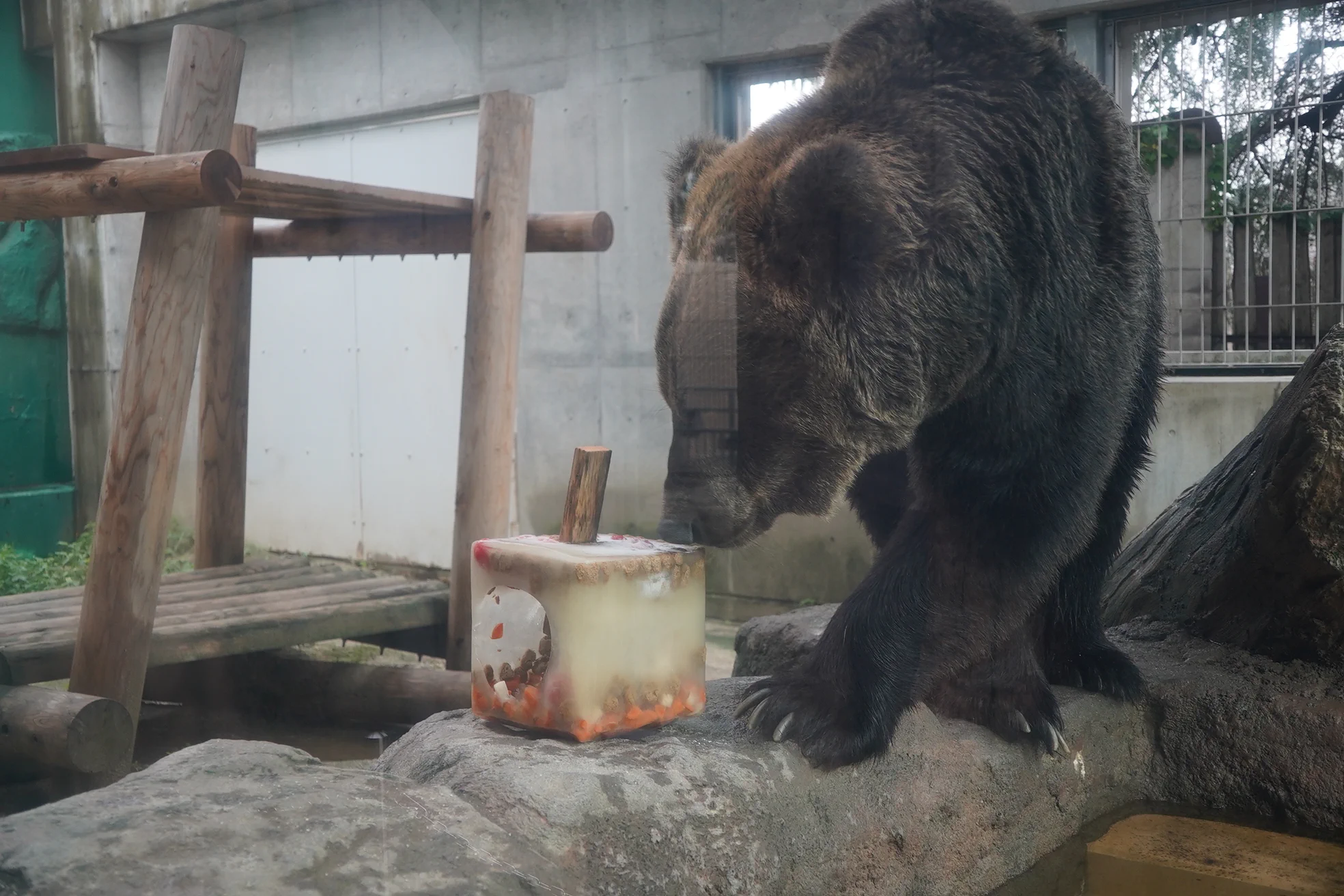 東武動物公園【公式】 (@tobuzoo_info) / X