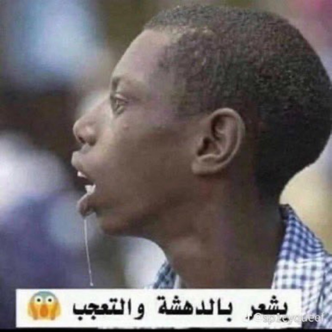 bshry08240346's tweet photo. @lbperkl @penlr @ibnMhsn OH SHIT💔😭 https://t.co/NSkR0NdXAJ