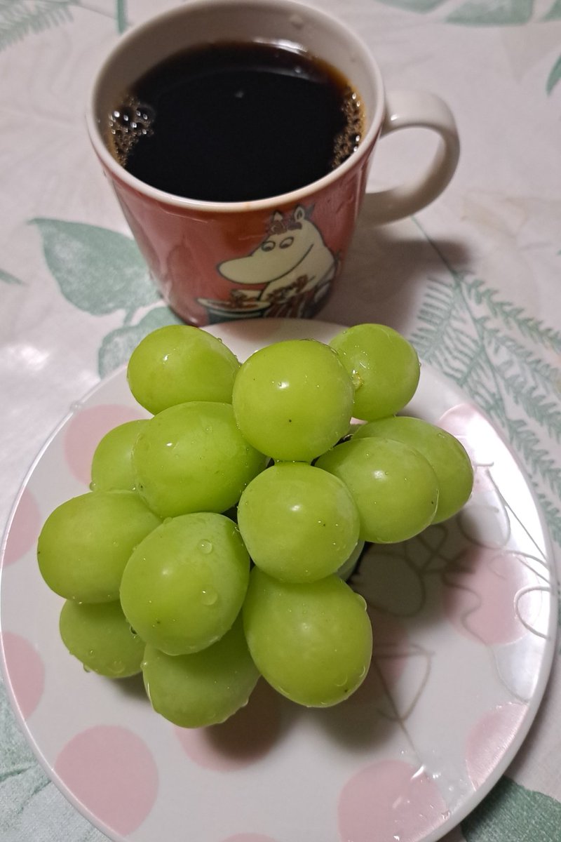 _MITORei's tweet photo. 今日のおやつはなんと！3桁なお値段で買えたシャインマスカット！
今年は甘くて豊作らしいぜ！
…あんまぁ♪うんまぁ♪
珈琲に合う感はあんまりないので食べ終わ���たあとに飲みますw
#珈琲 #Coffee #シャインマスカット https://t.co/r9uYbLnylc