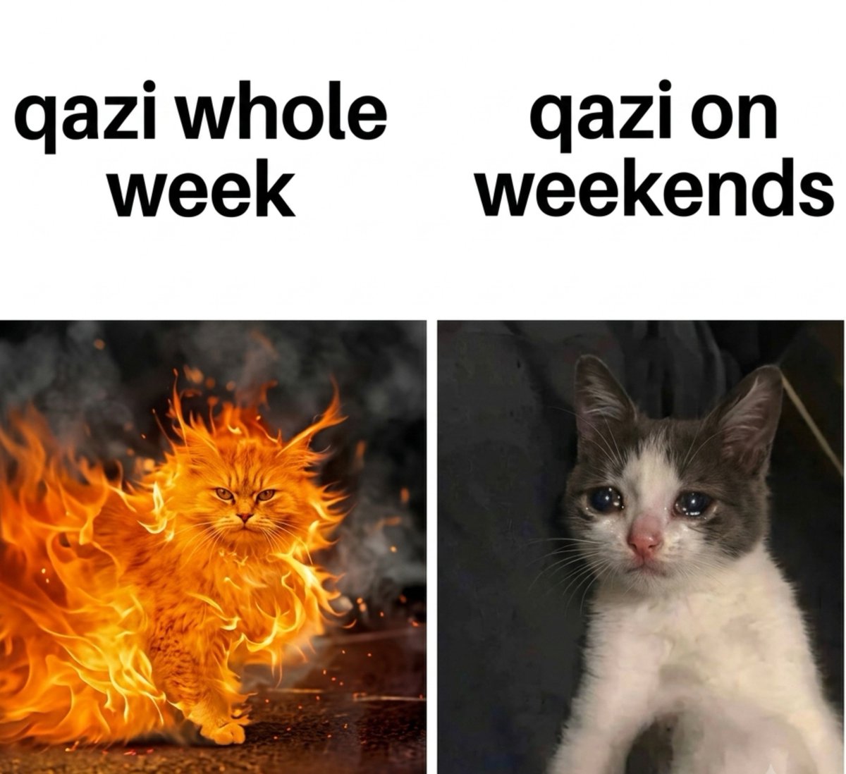 Real_masoom01's tweet photo. Qazi whole week v/s Qazi on weekends 🥺

#QaziTouqeer #BiggBoss20 https://t.co/TK8OdHlq1o