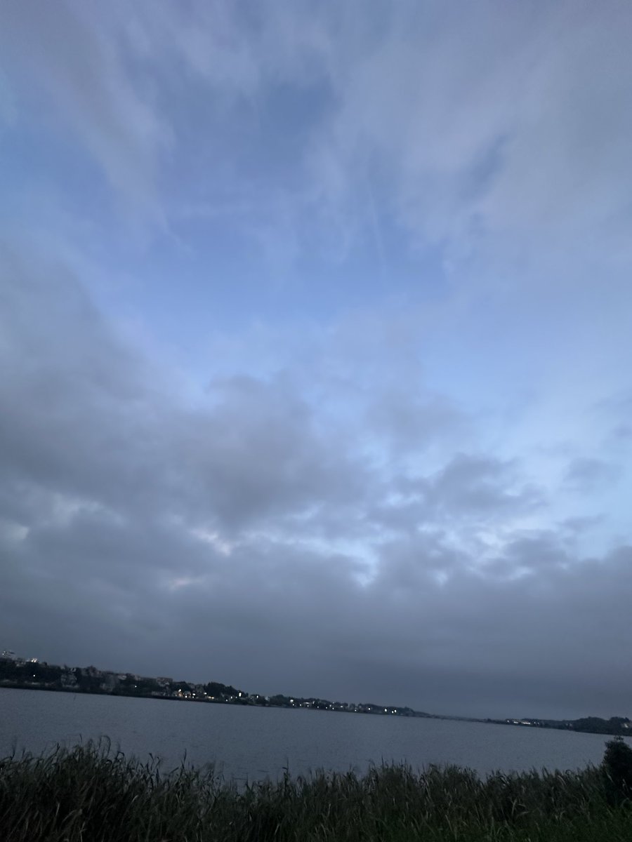 abex9441's tweet photo. 長雨で
生えたコイツは
毒キノコ

一句できました✨

秋雨前線とか要らないから
朝日を浴びながら朝活したいわ

このキノコ食べたらアカン
激しい嘔吐＆下痢になる🤮💩
キノコは知識なしで食べたらアカン

秋田の金茸とか紫シメジとか
これからだなぁ🤤 https://t.co/yq4MASDXdm