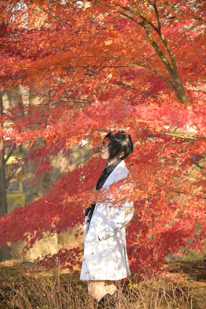 wT3Two's tweet photo. #レイヤーさんはコスプレの時の横顔を見せてください https://t.co/X9bx200jX2