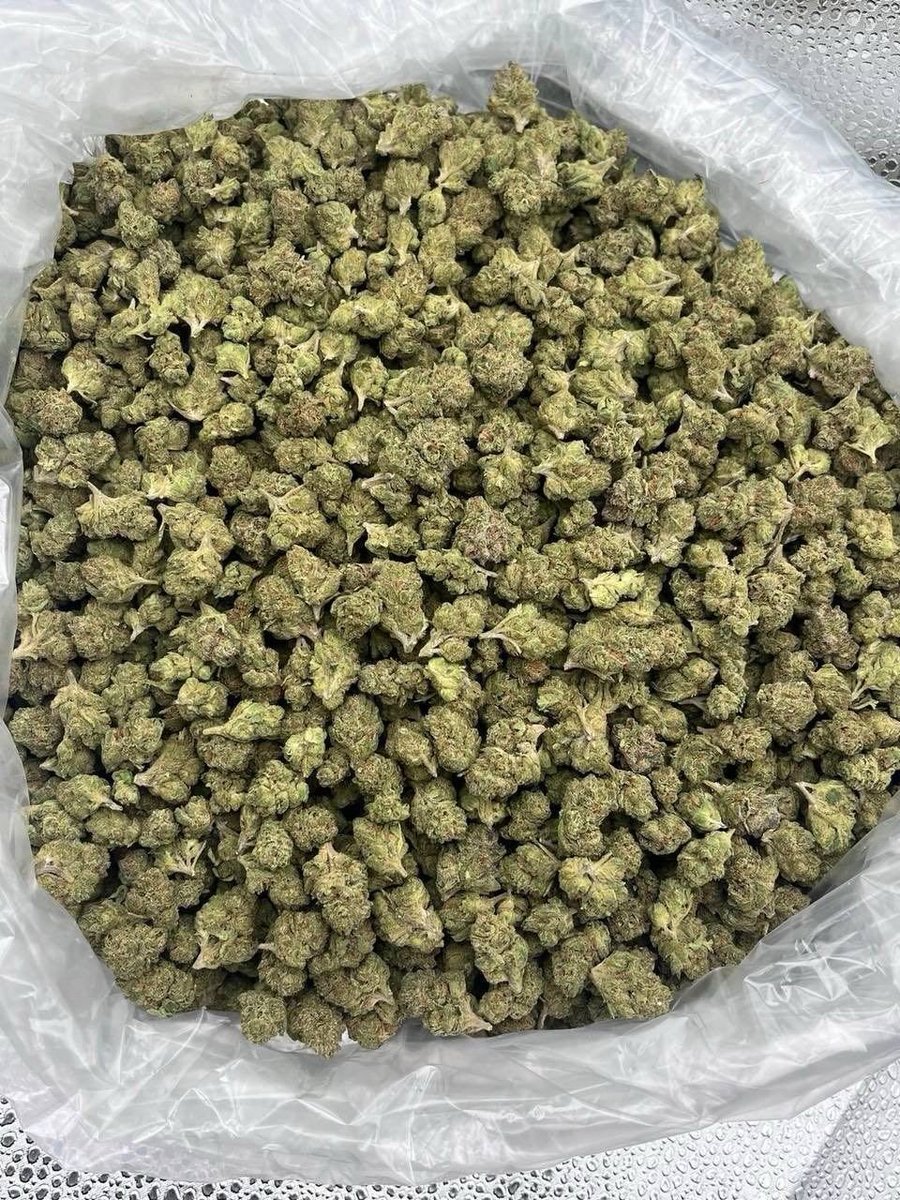 Swiftbudz1's tweet photo. Weed Bath, Bristol, Clifton, Redland, Cotham, Hotwells, Bedminster, Southville, Totterdown, Knowle, Brislington, St George, Easton, St Paul’s, Montpelier, Stokes Croft, Gloucester Road, Bishopston, Westbury-on-Trym, Henleaze, Westbury Park, Redland Green, Clifton Down https://t.co/226eDe6r1Z