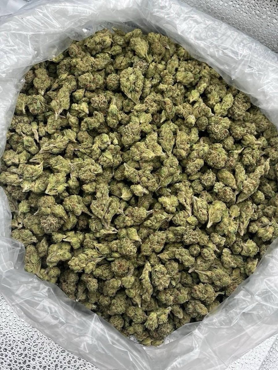 Swiftbudz1's tweet photo. Weed Bath, Bristol, Clifton, Redland, Cotham, Hotwells, Bedminster, Southville, Totterdown, Knowle, Brislington, St George, Easton, St Paul’s, Montpelier, Stokes Croft, Gloucester Road, Bishopston, Westbury-on-Trym, Henleaze, Westbury Park, Redland Green, Clifton Down https://t.co/226eDe6r1Z