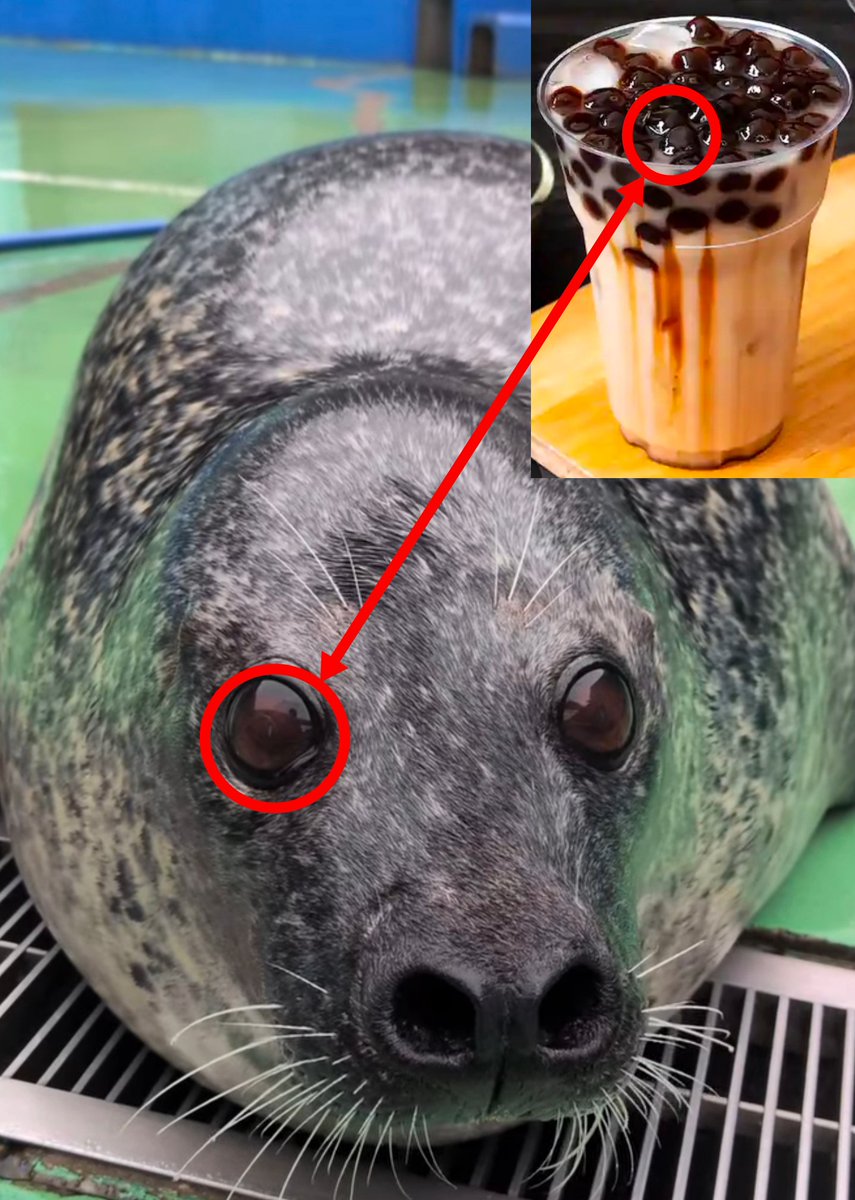 MagicRibbonSeal's tweet photo. No way... this can't be true.. https://t.co/luAaQxBcfH