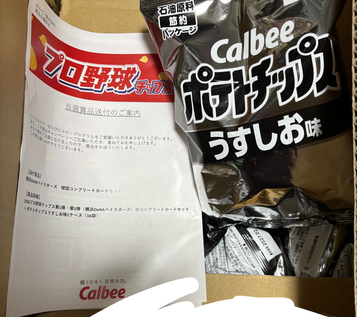YumeOoo5's tweet photo. 初めて応募したプロ野球チップスの懸賞当たってポテチ大量🥔
旦那が好きな球団のコンプリートカードが当選しました🙌✨ https://t.co/mm63Kaff4N