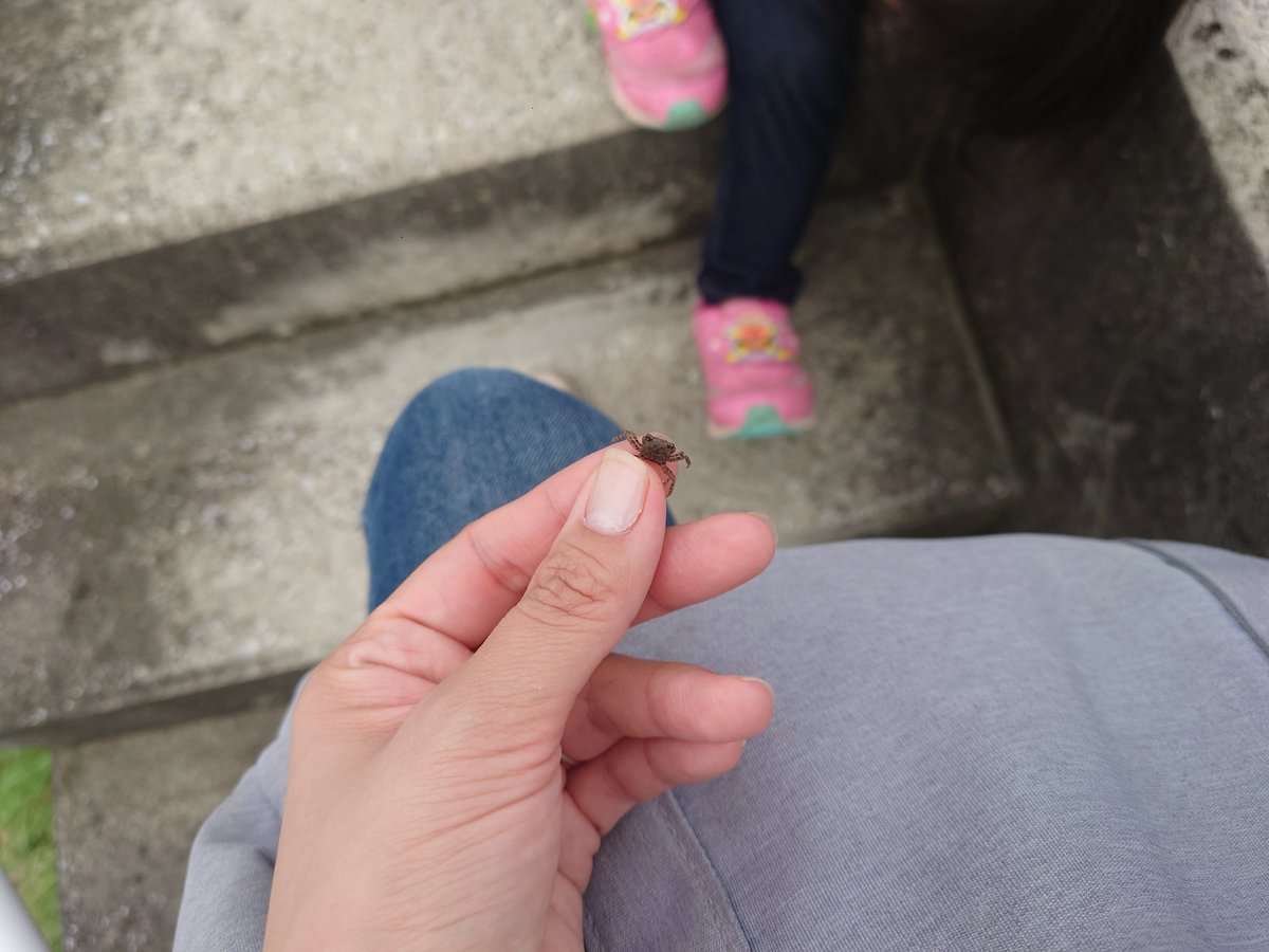 hijou_syoku's tweet photo. おでかけたのしかった🎣 https://t.co/Sxts9rby91