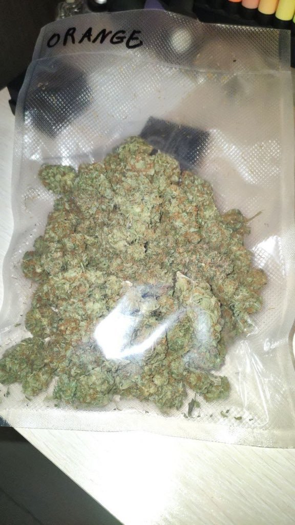 Swiftbudz1's tweet photo. Weed Worthing, Hove, Brighton, Lewes, Eastbourne, Hastings, Bexhill, Battle, Rye, Tenterden, Ashford, Canterbury, Folkestone, Dover, Deal, Sandwich, Ramsgate, Margate, Broadstairs, Whitstable, Herne Bay, Faversham, Sittingbourne, Maidstone, Tonbridge, Tunbridge Wells https://t.co/VVYZLU5EJ5