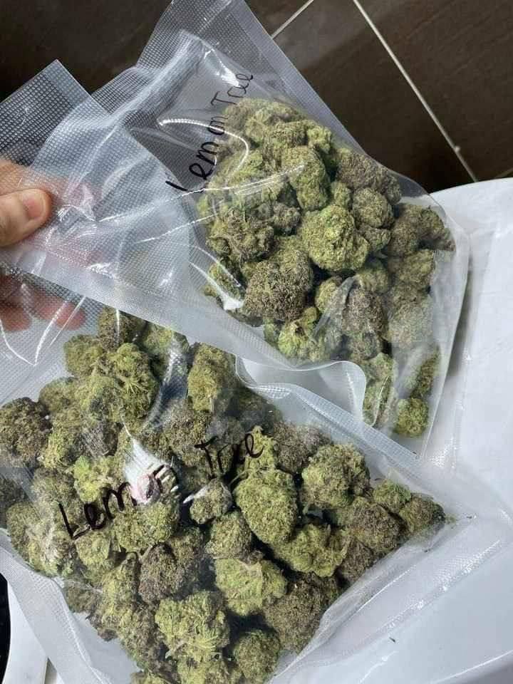 Swiftbudz1's tweet photo. Weed Camberley, Bracknell, Ascot, Windsor, Eton, Maidenhead, Slough, Reading, Newbury, Hungerford, Marlborough, Devizes, Trowbridge, Melksham, Chippenham, Calne, Corsham, Bradford-on-Avon, Bath, Bristol, Keynsham, Saltford, Bitton, Warmley, Kingswood https://t.co/dCsmVRozpk