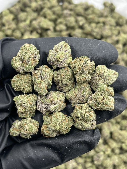 Swiftbudz1's tweet photo. Weed Camberley, Bracknell, Ascot, Windsor, Eton, Maidenhead, Slough, Reading, Newbury, Hungerford, Marlborough, Devizes, Trowbridge, Melksham, Chippenham, Calne, Corsham, Bradford-on-Avon, Bath, Bristol, Keynsham, Saltford, Bitton, Warmley, Kingswood https://t.co/dCsmVRozpk