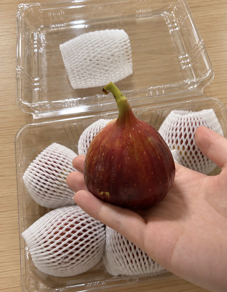 everydaykor's tweet photo. Fig season is here in Korea. 🇰🇷💜
I bought a whole bunch… and somehow they’re already disappearing. 😂
Fresh figs with a little cheese — such a simple combination, but so good.
Sweet figs + creamy cheese = ❤️
#Figs #KoreanFood #SeasonalFruit #Cheese #FoodInKorea #EverydayKorea