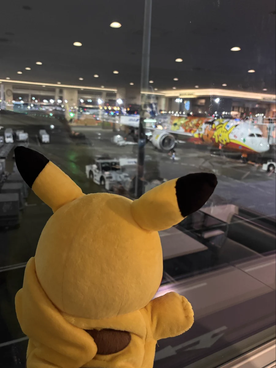 ポケモンだいすきクラブ編集部【公式】 on X: 