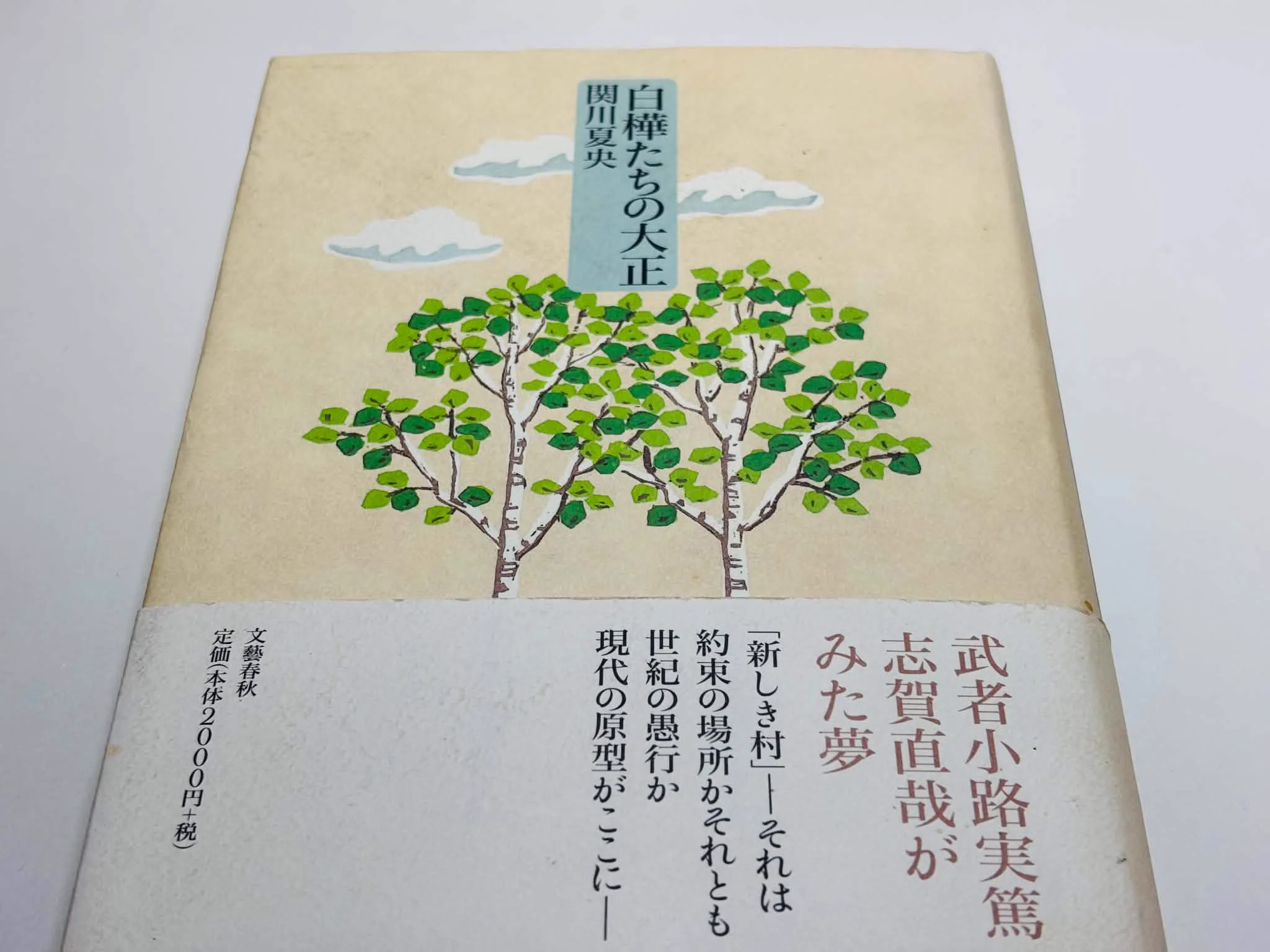 たけうち｜マイホームの文化史 on X: 