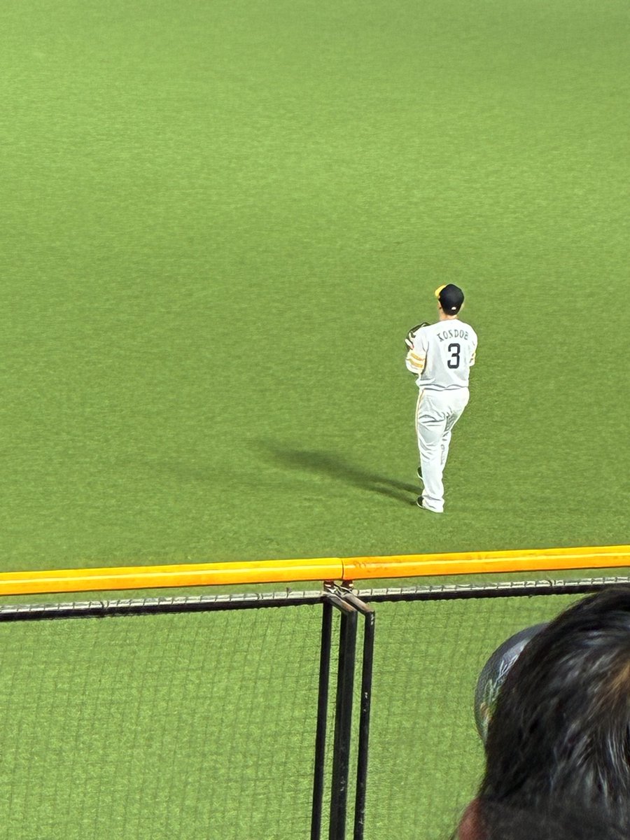 pusanonsuto's tweet photo. 今日の試合も最高やったー😆
正木の2打席連続ホームランさいこー
1回目はトイレ行ってて見逃してしまったんだけど2回目は見れたよ！
レフト側だからワンチャンホームランボールあったんだけどな😭 https://t.co/NYPcw5zu1Z
