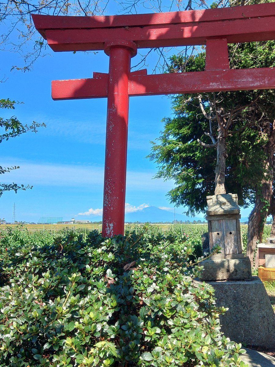 megu1417's tweet photo. 青空に鳥海山   赤い鳥居
あまりに綺麗だったので
📸パチリ https://t.co/oO2AO1NMcV