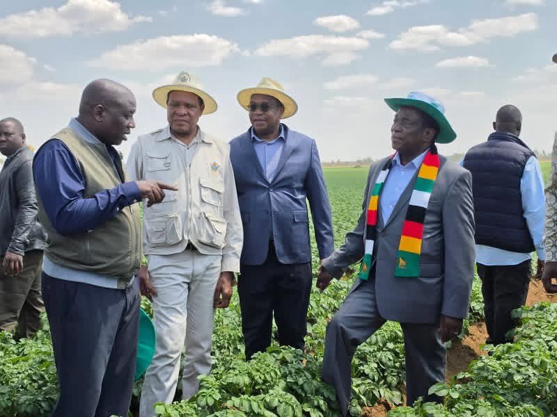HazelNcube2r's tweet photo. Cabinet Ministers led by His Excellency President Dr. Emmerson Dambudzo Mnangagwa are currently touring the Pricab Farm in Kwekwe

@marapira_farai @DumisoJnr22247 @dereckgoto @SibandaGra80441 @ChelesaniSiban7 @mattmutaz @Rovambirajay @harmaineRopafa1 @ChambatiLevison https://t.co/lTvjx6Jopl