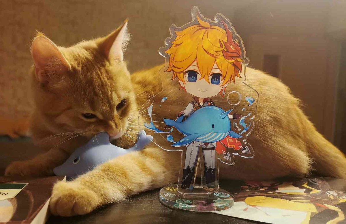 Gosardi's tweet photo. @SquareKreis Завести рыжего кота (в моём случае кошку) это неизбежный пункт тарталефана 😄🤙 https://t.co/nWFThi3Eck