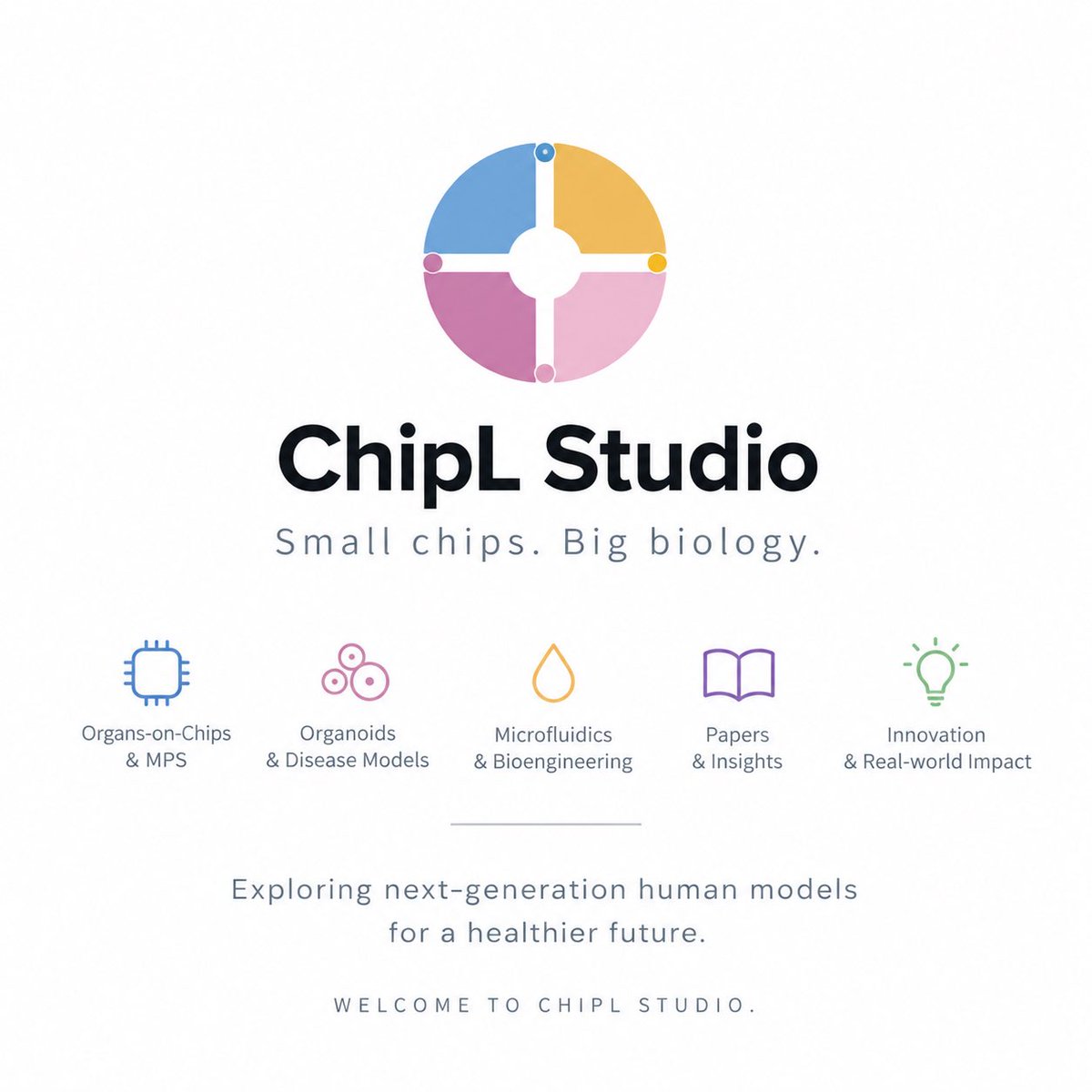 ChipLStudio tweet picture