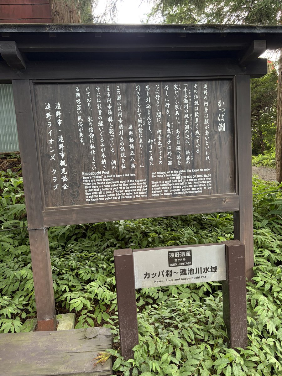 hadamemo's tweet photo. 小学生の頃に氣志團のDVDで見てからずっと来てみたかった遠野・かっぱ淵についに行けました🥒
2年前まで少し住んでた秋田にも行けて大満足！ https://t.co/nHaFAqWIJk