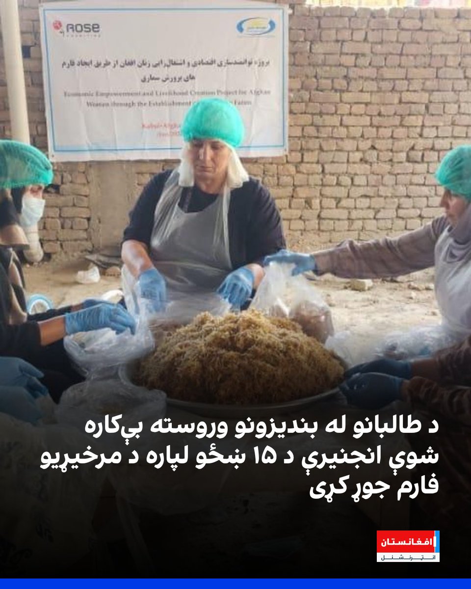 afintlpashto's tweet photo. نسرین متین د طالبانو له واکمنۍ وړاندې د کرنې وزارت د یوې برخې رییسه وه. د ښځو پر کار له بندیزونو وروسته یو کال په کور کښېناسته، خو وروسته یې د مرخیړیو کښت پیل کړ. اوس هغه د ��غو ښځو لپاره د کار او زده‌کړې زمینه برابروي چې د کورونو یوازینۍ نفقه‌ګټونکې او له زده‌کړو پاتې دي.
https://t.co/l4aEOYRC8O