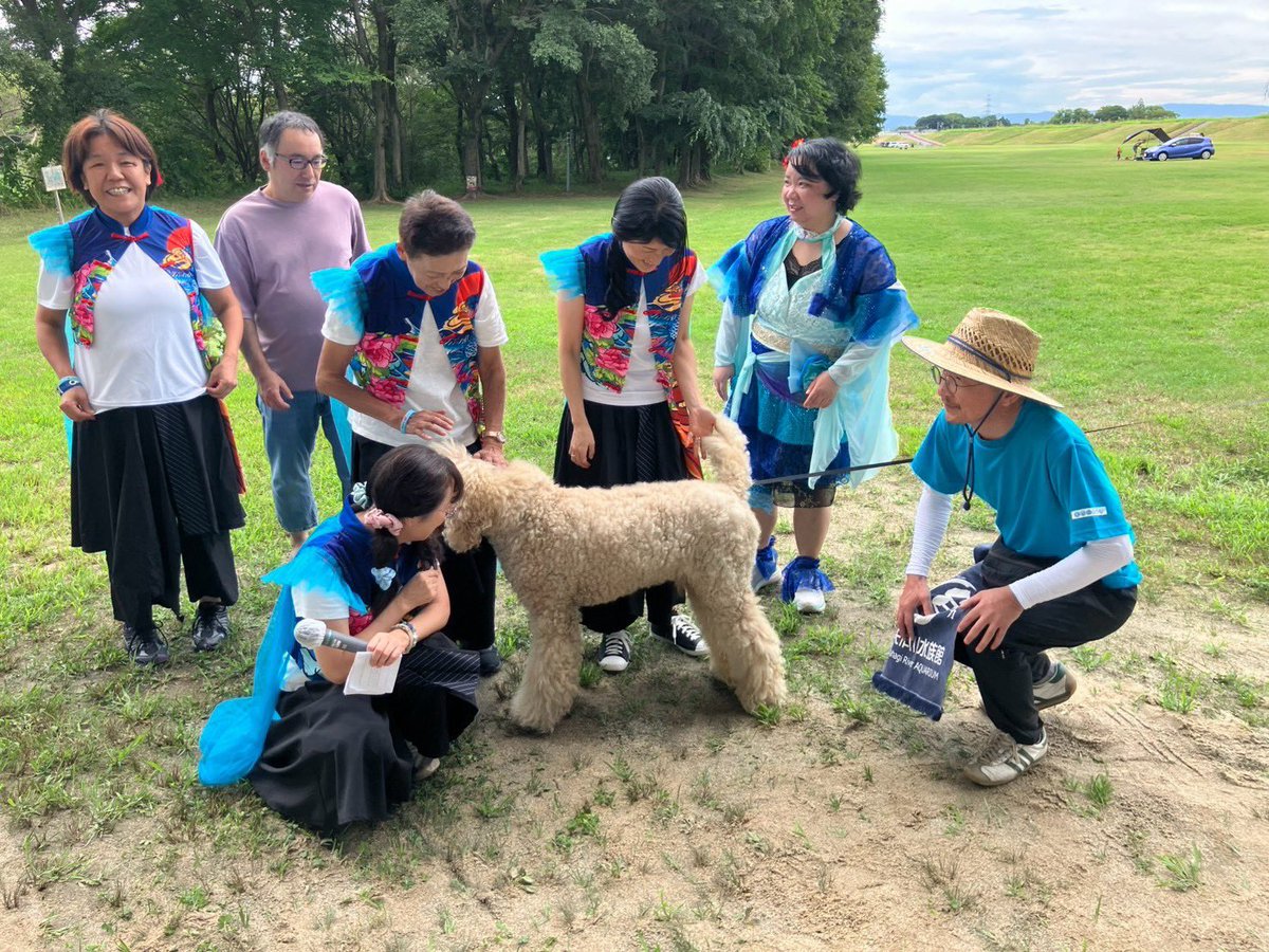 oidenHeartBeats's tweet photo. 9月6日(土)は「矢作川感謝祭」でした😆

今年も豊田大橋の下(千石公園)にて
Heart Beats、めっちゃいなぶDSI！、
ULYSISなどの豊田おいでんまつりに参加している踊り連や
豊田ご当地アイドルStar☆Tさん達と
ふれあいステージにて踊りました😊

リプに続く⬇️

#矢作川感謝祭
#HeartBeats https://t.co/X6dgEnJGeK