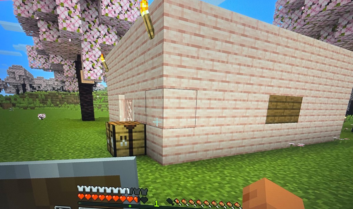 lucisgeminis's tweet photo. Mi primera casa en minecraft, que pensáis https://t.co/oxinrEDZrr