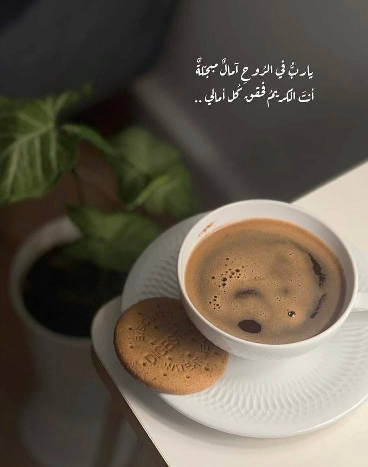 r5se3yyp's tweet photo. ياربُّ في الرُّوحِ آمالٌ مُبجَّلةٌ
وأنتَ الكريمُ، فحقِّق كلَّ آمالي

واجعل لي من جميلِ فضلكَ نصيبًا،
ومن واسعِ كرمكَ فرحًا لا يزول

 #نسالك_من_فضلك_ورحمتك

✍🏻
ﺂلـمــھـــرھ 𓃗
┈┉━━━ ❥ 𝓡5𝓢𝓔3𝓨𝓨𝓟❥ ━━━┉ https://t.co/UbIpfheG4D