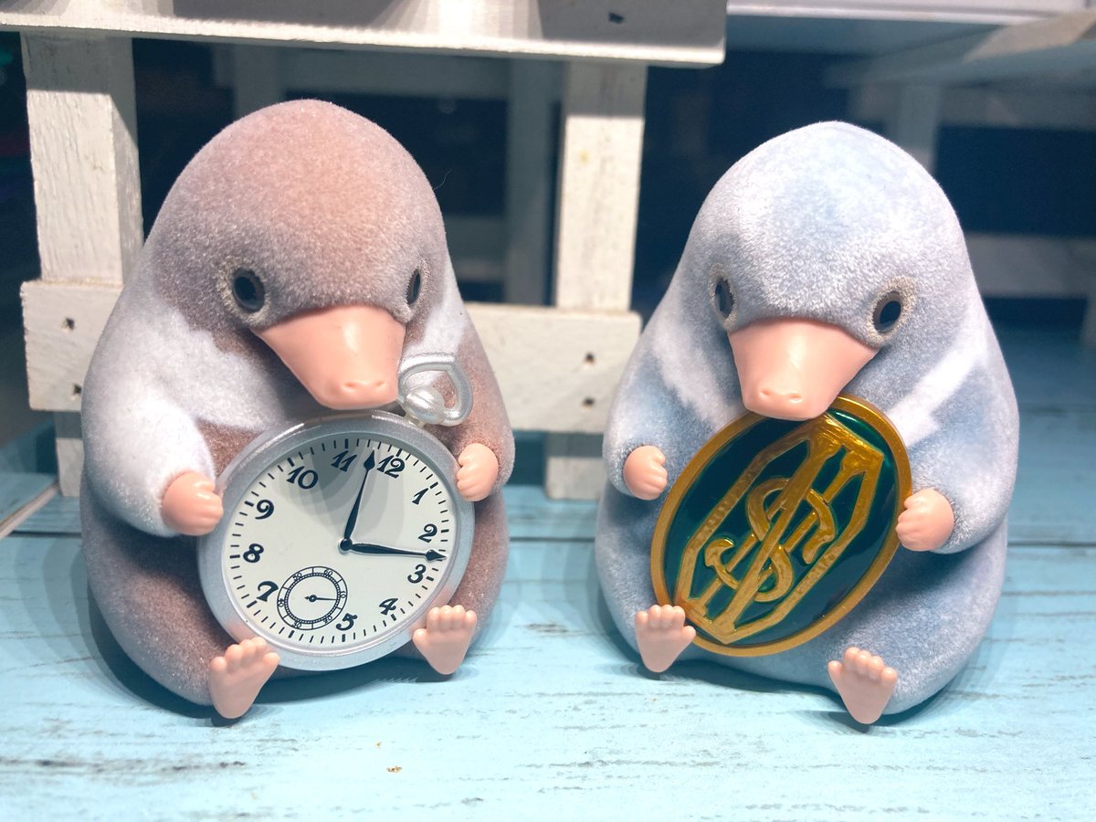 bluemoon346_'s tweet photo. ベビー二フラーは無事に。

ふたり揃ってるのかわいいな。 https://t.co/9xvZVKXEhK