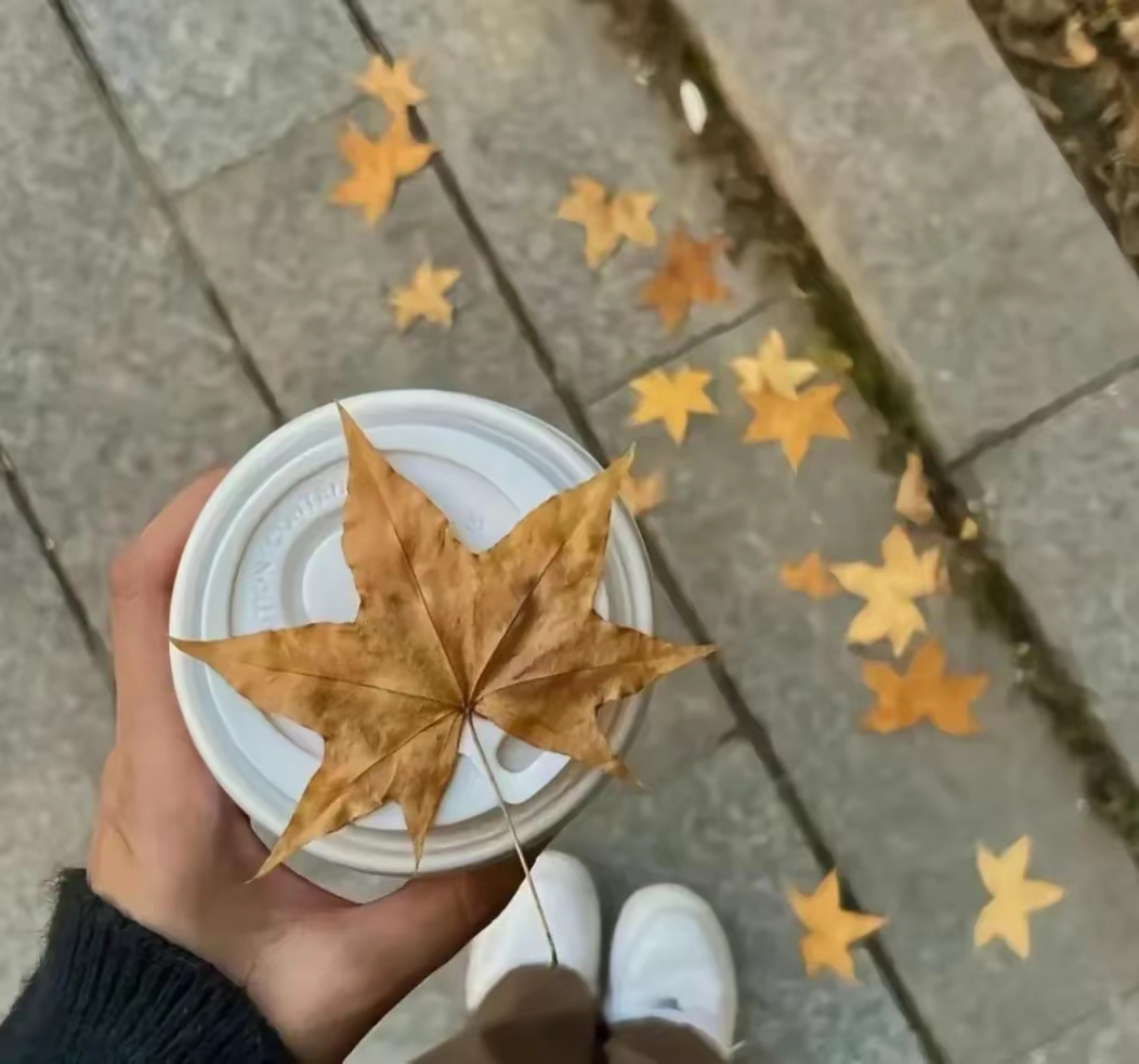 advef731055's tweet photo. The first autumn breeze is here—crisp air, golden leaves, and coffee in hand. Perfect little weekday vibe!， https://t.co/o0rnYq81co