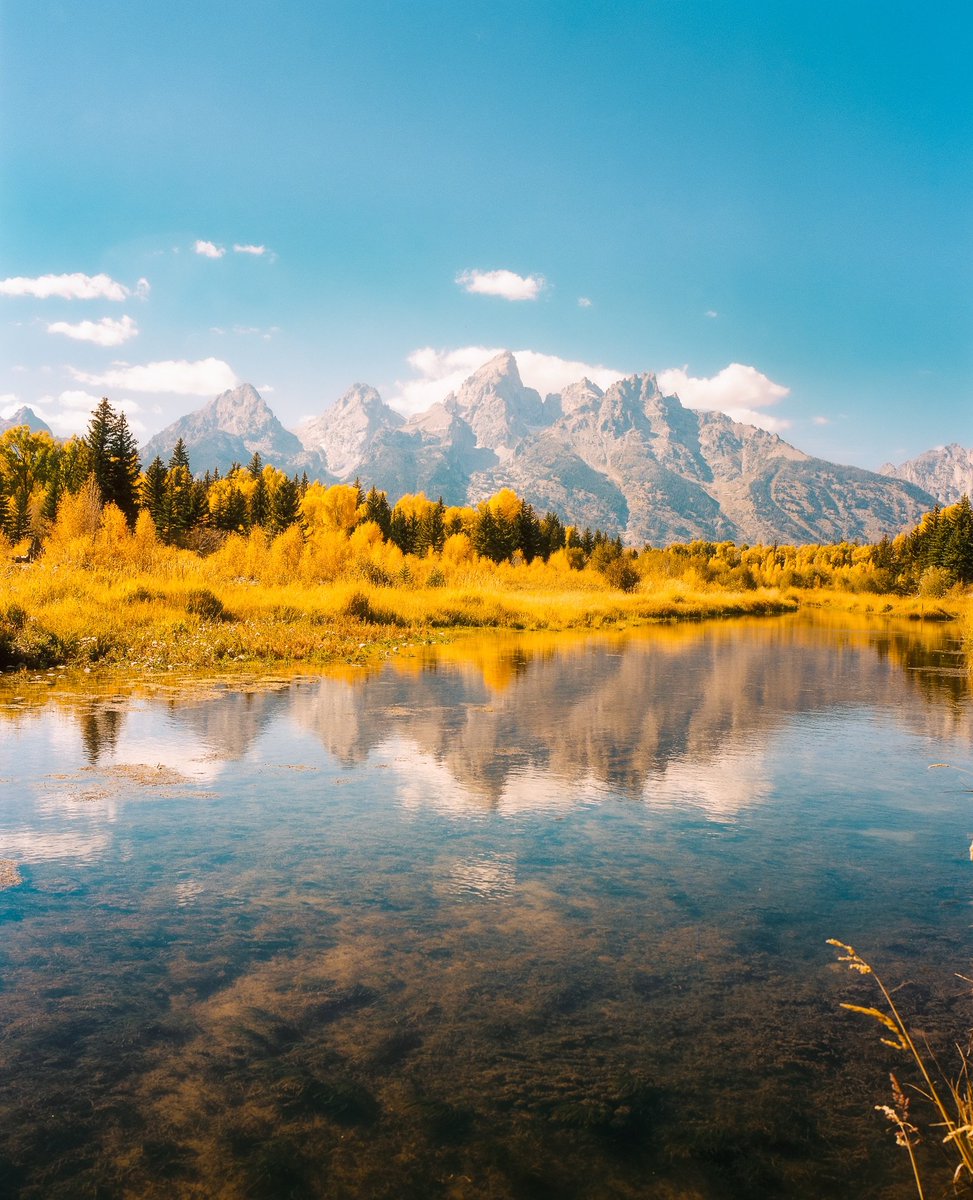 visualsofearth1's tweet photo. Autumn morning at the Grand Tetons. https://t.co/OWGqIawtNr