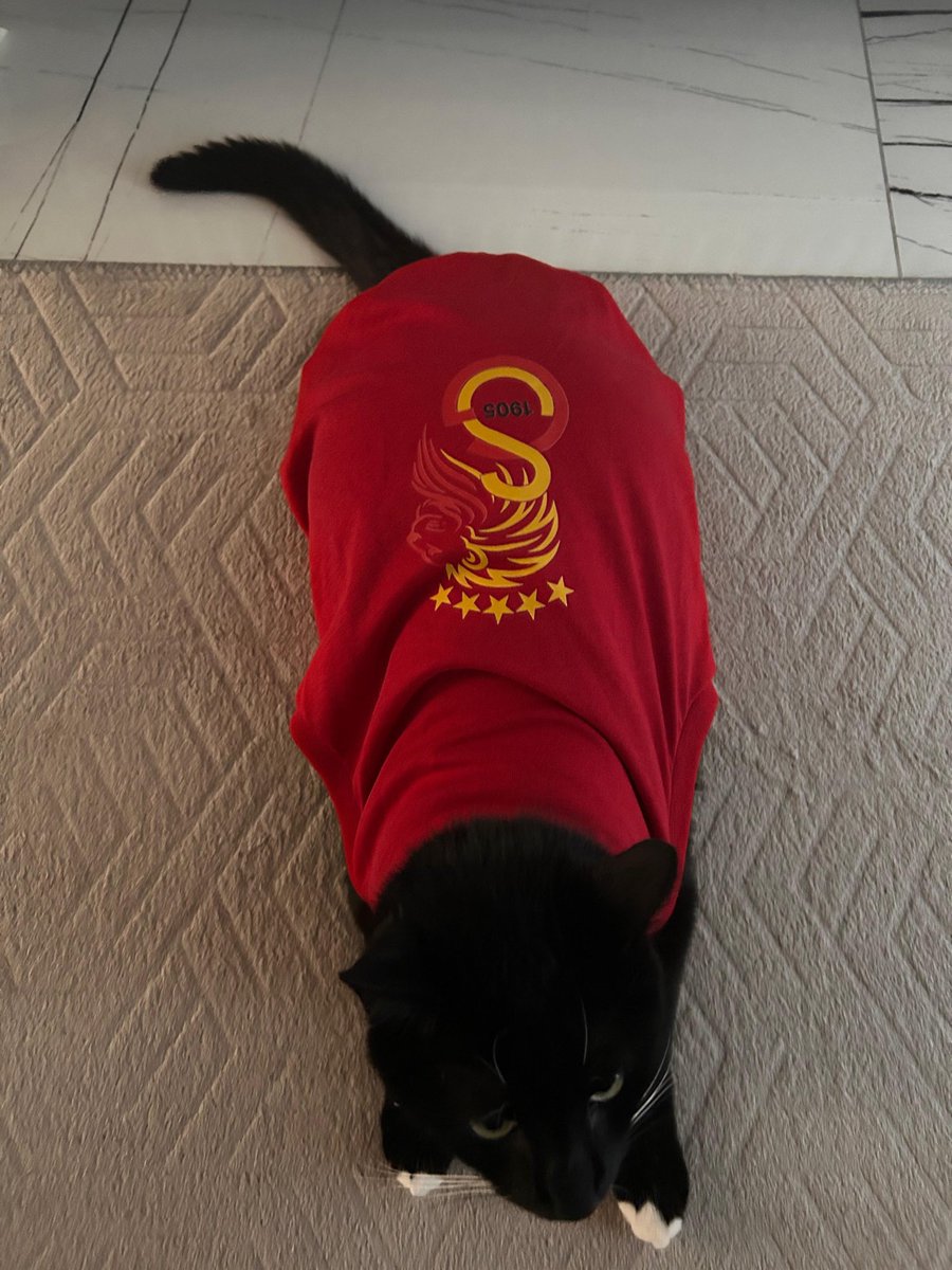 ozgr757575's tweet photo. @GalatasaraySK #BugünGünlerdenGALATASARAY #konsantrasyon https://t.co/az2g9clv0d